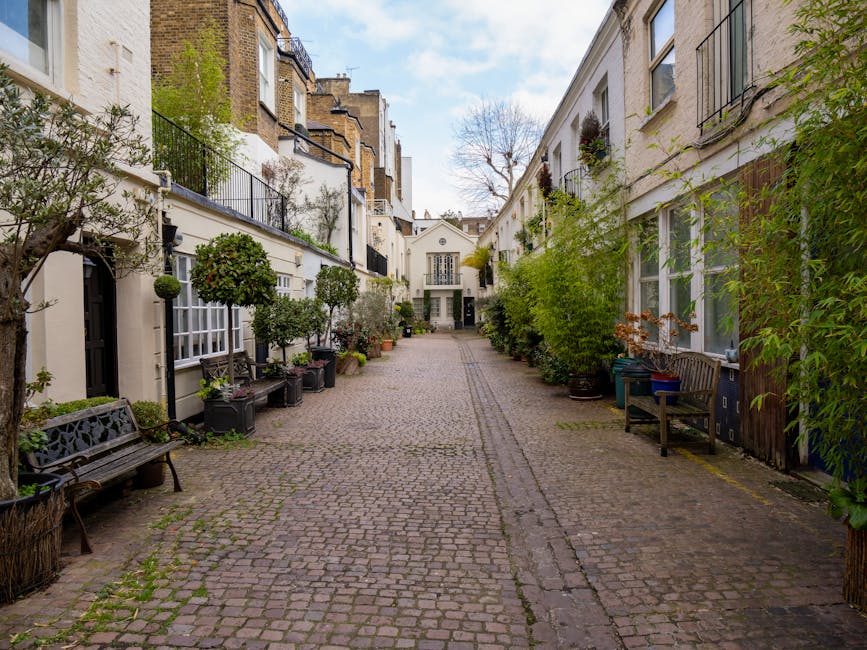 The image shows a narrow cobblestone residential courtyard in South Kensington, London, surrounded by white-painted terraced townhouses with black metal balconies and window railings. Along both sides of the courtyard, there are potted trees and shrubs in large black plastic containers, as well as wooden benches positioned against the building wall on the left and a small wooden bench on the right. In the distance, a white building with large windows and a central door can be seen at the end of the courtyard. The area appears to be used for home relocation or furniture transport activities, as part of the loading process for house removals with Man with Van South Kensington. The courtyard is well-lit with natural daylight and has a tidy appearance, with some open space in the centre, indicating a typical setting for loading and unloading goods during a move.
