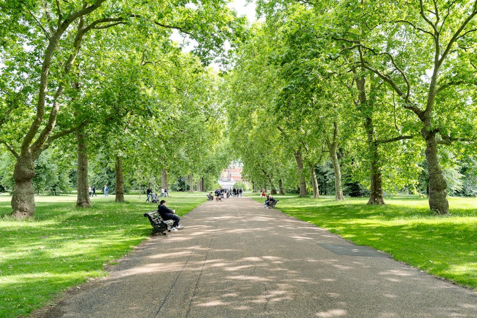 A wide, open park area with a large expanse of grass partially covered by fallen autumn leaves in shades of yellow and brown. Tall, leafy trees line both sides of the park, their dense green foliage e